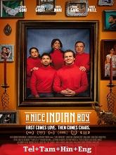 A Nice Indian Boy (2024) HDRip Original [Telugu + Tamil + Hindi + Eng] Dubbed Movie Watch Online Free
