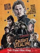 Caught Stealing (2025) BRRip Original [Telugu + Tamil + Hindi + Eng] Dubbed Movie Watch Online Free