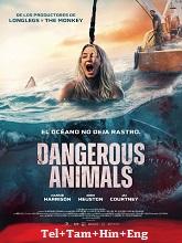 Dangerous Animals (2025) HDRip Original [Telugu + Tamil + Hindi + Eng] Dubbed Full Movie Watch Online Free