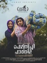 Feminichi Fathima (2025) HDRip Malayalam Full Movie Watch Online Free