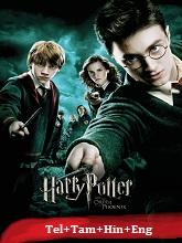 Harry Potter and The Order of the Phoenix (2007) BRRip Original [Telugu + Tamil + Hindi + Eng] Dubbed Movie Watch Online Free