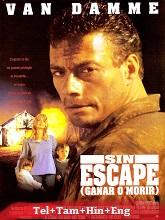 Nowhere to Run (1993) BRRip Original [Telugu + Tamil + Hindi + Eng] Dubbed Movie Watch Online Free