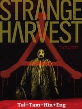 Strange Harvest (2024) HDRip Original [Telugu + Tamil + Hindi + Eng] Dubbed Movie Watch Online Free