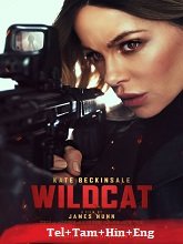 Wildcat (2025) HDRip Original [Telugu + Tamil + Hindi + Eng] Dubbed Movie Watch Online Free