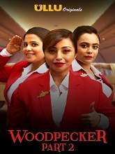 Woodpecker (2020) HDRip Hindi Part-2 Watch Online Free